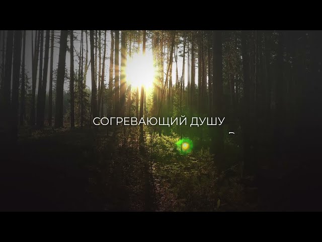Книга Половинка сердца (Карен Макквесчин) — 3