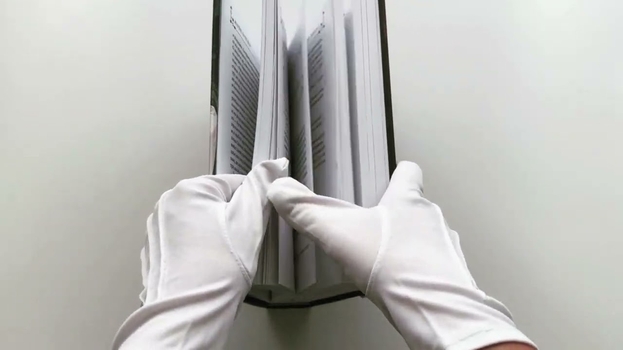 Книга Хаски и его учитель Белый кот. Книга 1 (Жоубао Бучи Жоу) — 3