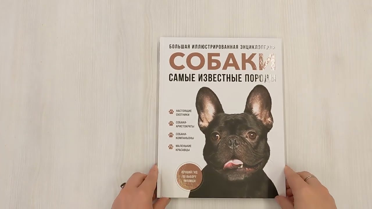 Книга Самые известные породы. СОБАКИ. Большая иллюстрированная энциклопедия (Галина Сула) — 3