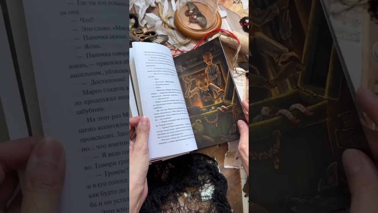 Книга Моё пост-имаго (Владимир Торин) — 4