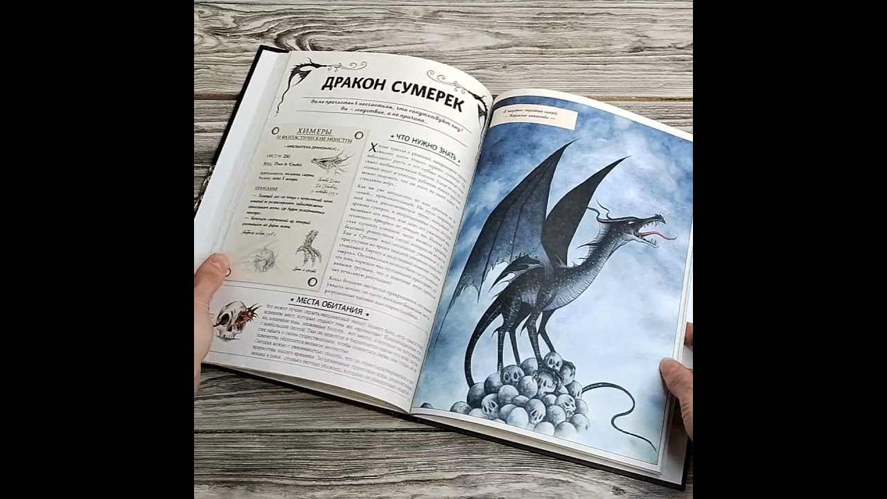 Книга Секретное руководство охотников на драконов (Патрик Жезекель) — 3