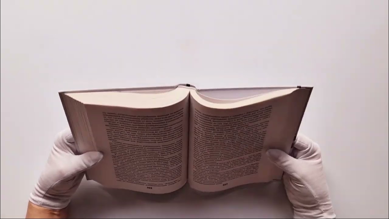 Книга Разум убийцы. Как работает мозг тех, кто совершает преступления (Ричард Тейлор) — 4