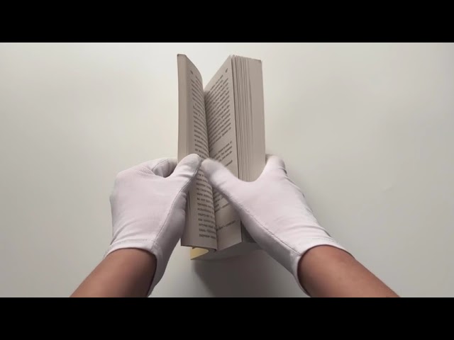 Книга Земля обетованная (Эрих Мария Ремарк) — 3