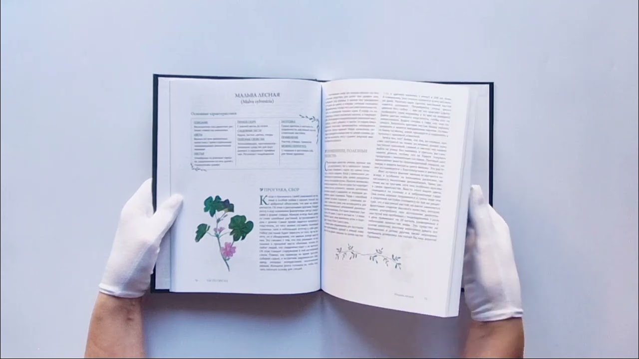 Книга Гримуар травницы. Иллюстрированный справочник по сбору, заготовкам и полезным свойствам дикорастущих растений (Франсуаза Кунстманн) — 4