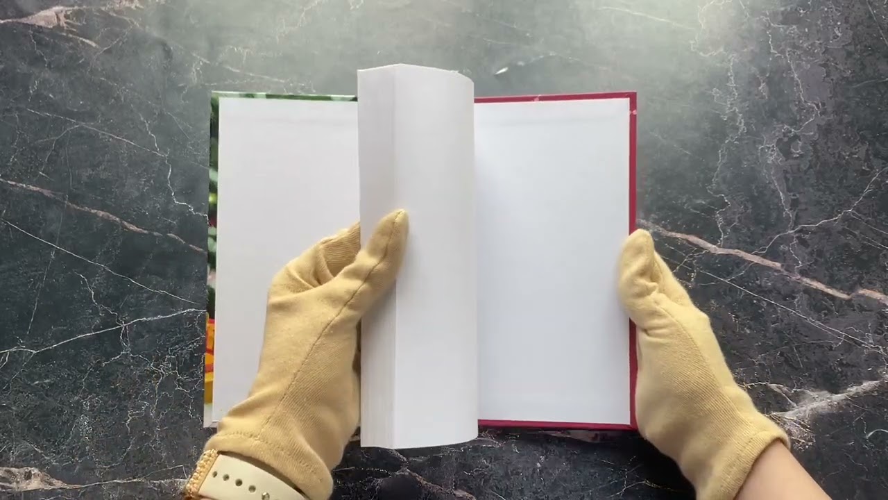 Книга Щенок Рина, или Таинственное путешествие (Холли Вебб) — 3