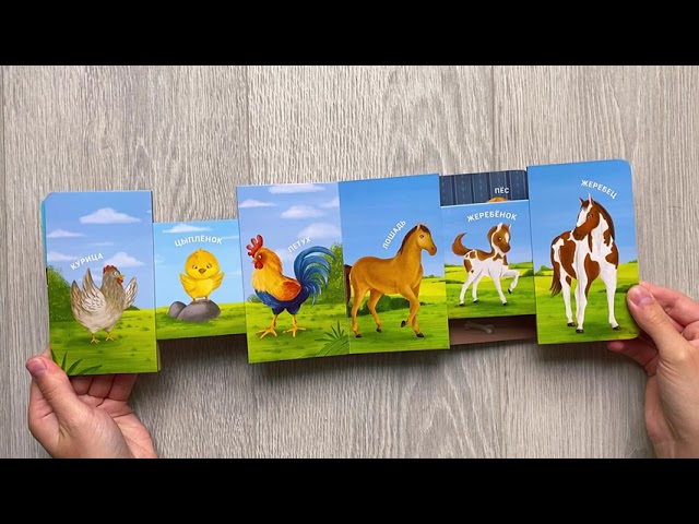 Книга Книжки - задвижки. Мама, папа и малыш. Домашние животные () — 3