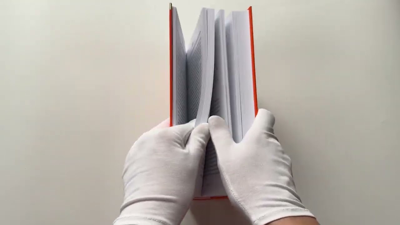 Книга Числа. Священная книга оборотня. T (Виктор Пелевин) — 3