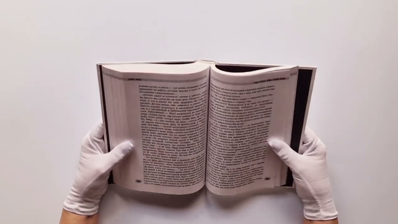 Книга Профиль убийцы. Психологические аспекты криминального профайлинга (Николай Дворянчиков, Дмитрий Шипицын, Светлана Нечесова) — 3
