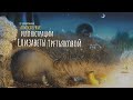 Летяга Такуми в Японии — 3018986 — 3