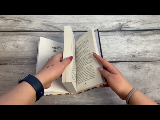 Книга Вестники (Маргарет Хэддикс) — 3