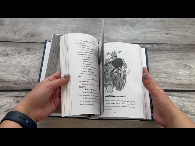 Книга Ледяное чудовище (Дэвид Уолльямс) — 3