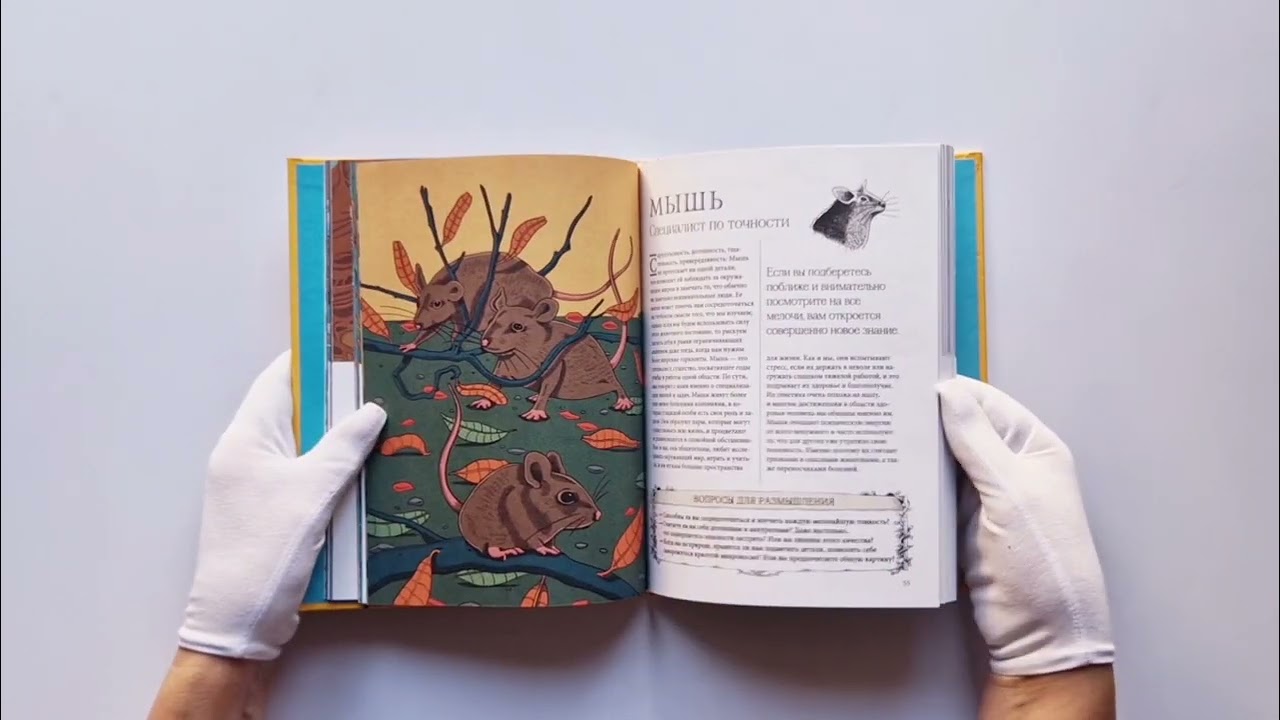 Книга Животные-целители. Волки, лисы, совы и другие дикие животные-архетипы, которые помогут разобраться в себе и исцелят вашу душу (Федерика Зиццари) — 4