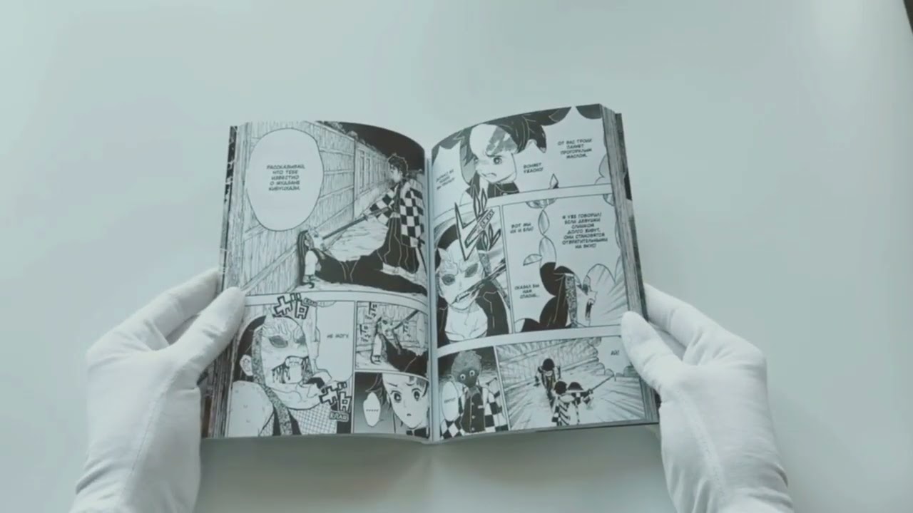 Истребитель демонов. Том 2 (Клинок, рассекающий демонов / Demon Slayer: Kimetsu no Yaiba). Манга 2912096 — 3