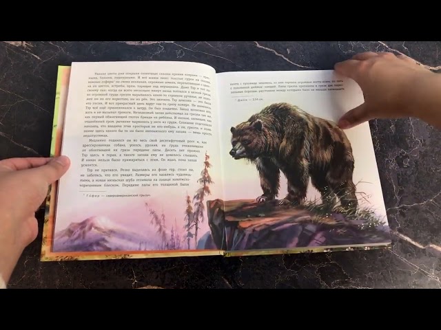 Книга Гризли (ил. В. Канивца) (Джеймс Оливер Кервуд) — 3