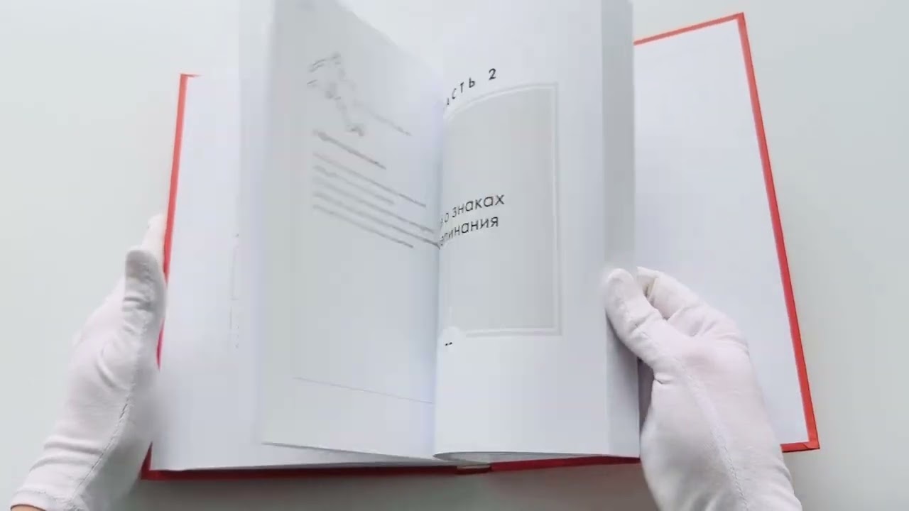 Книга Ча-ща русского языка. Как не заблудиться в правилах (Яна Гераськова) — 3