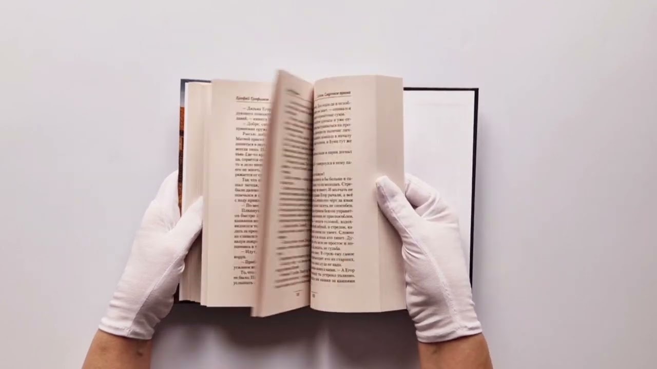 Книга Сотня. Смутное время (Ерофей Трофимов) — 3