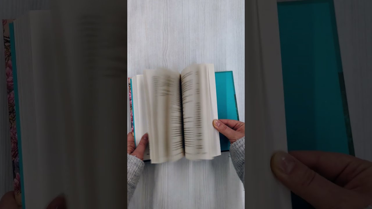 Книга Кафе на острове Сен-Луи. Родные души всегда находят друг друга (Сабрина Филипп) — 3