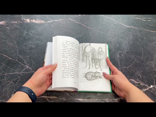 Книга Котёнок Снежинка, или Зимнее волшебство (Холли Вебб) — 3