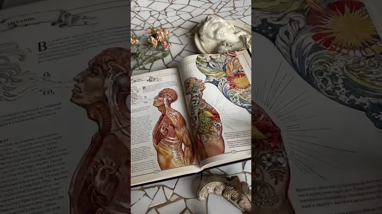 Книга The Book. Как создать цивилизацию заново () — 3