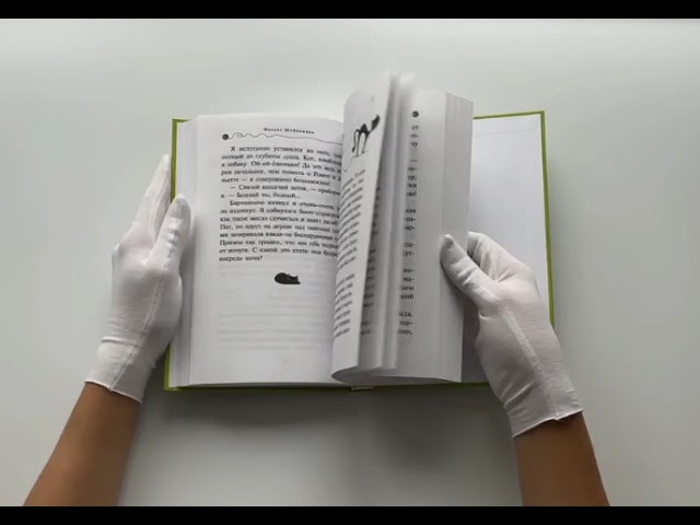 Книга Сыщик на арене (#5) (Фрауке Шойнеманн) — 5