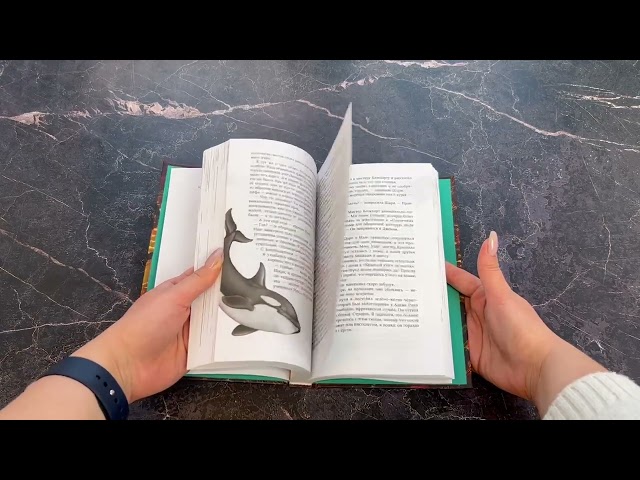 Книга Дети моря. Новый враг (#6) (Катя Брандис) — 3