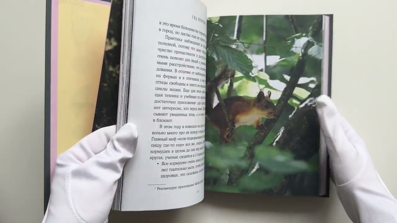 Книга Год простых чудес. Найти опору и вдохновение в красоте повседневности (авторские стикеры внутри) (Анна Гладких) — 4