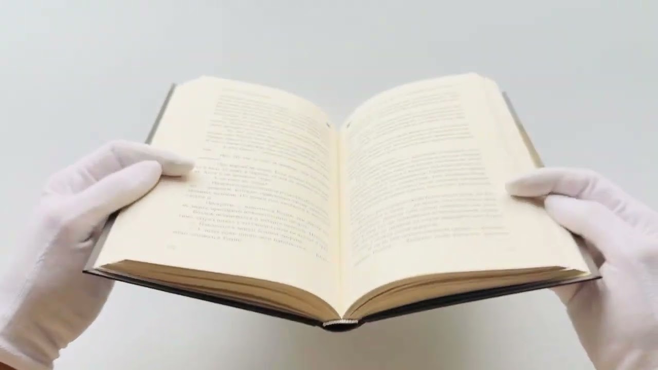 Книга Достоевский. Дело о пропавшем наследнике (Александр Бертич) — 3