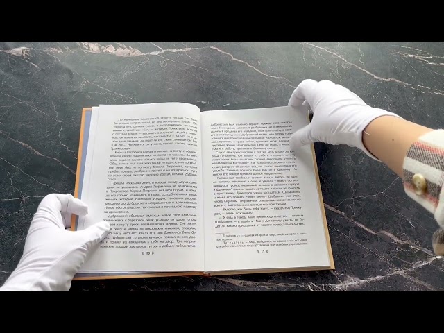 Книга Дубровский. Проза (с ил.) (Александр Пушкин) — 3