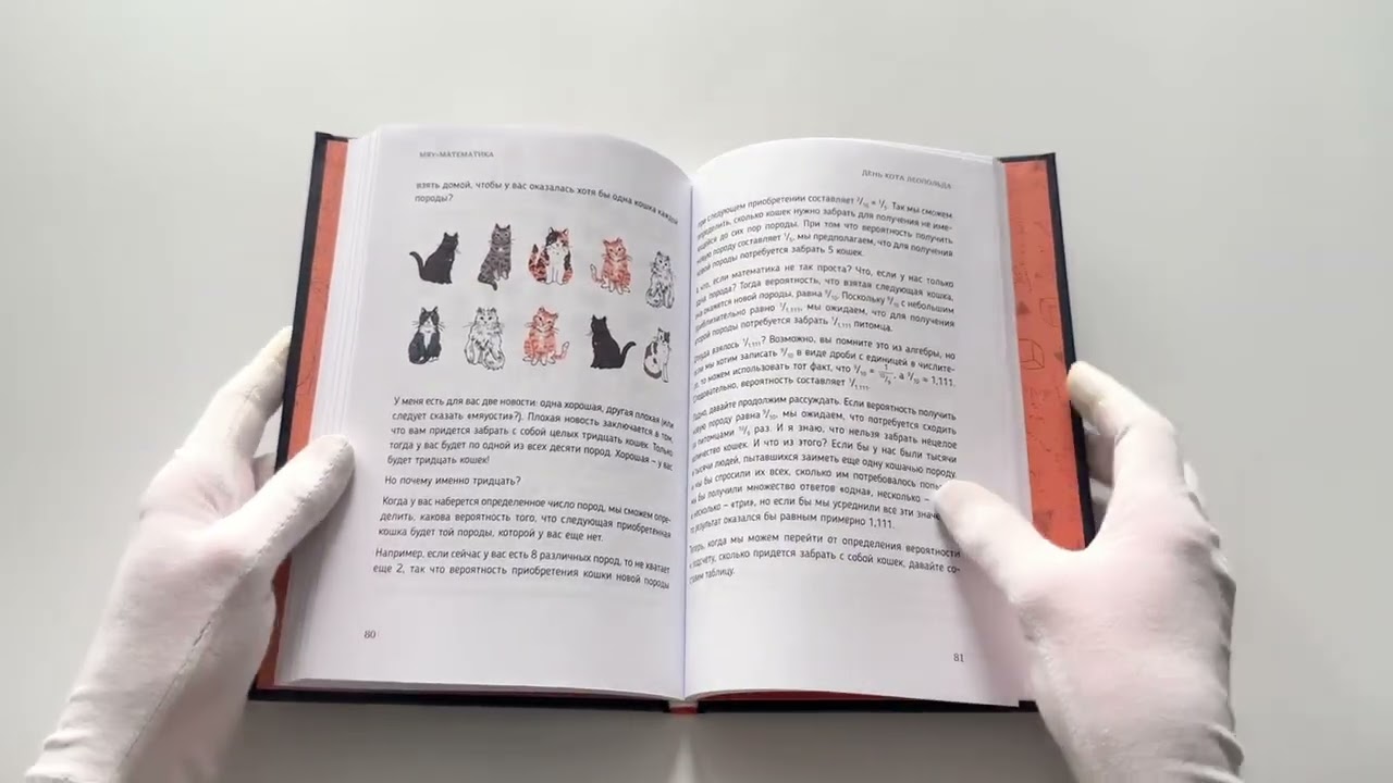 Книга Кото-математика. От простого к сложному на пушистых примерах (Дэниэл Лук) — 3