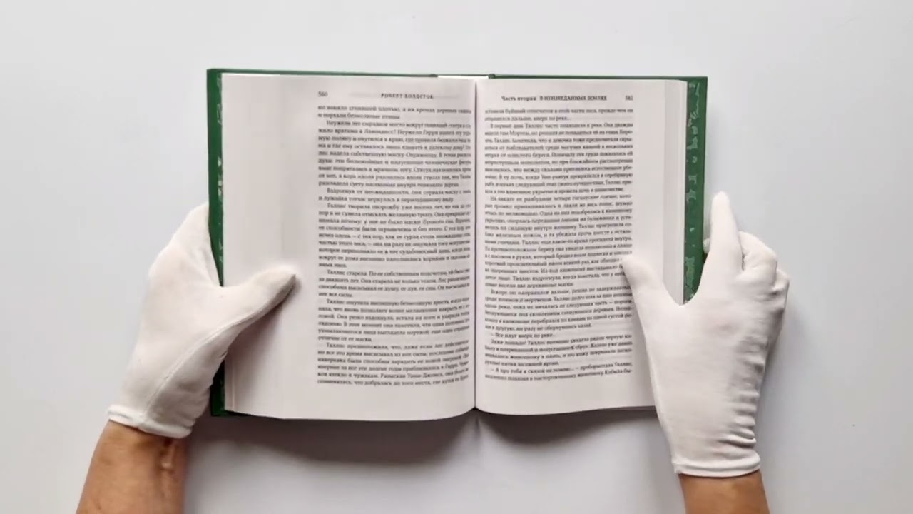 Книга Лес Мифаго. Лавондисс (Роберт Холдсток) — 4