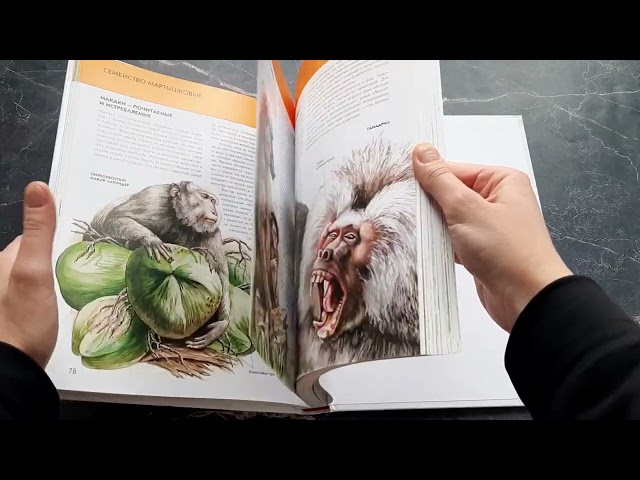 Книга Животные. Полная энциклопедия (Юлия Школьник) — 3