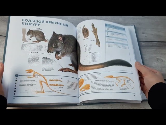 Книга Животные. Визуальная энциклопедия (Тони Хеа) — 3