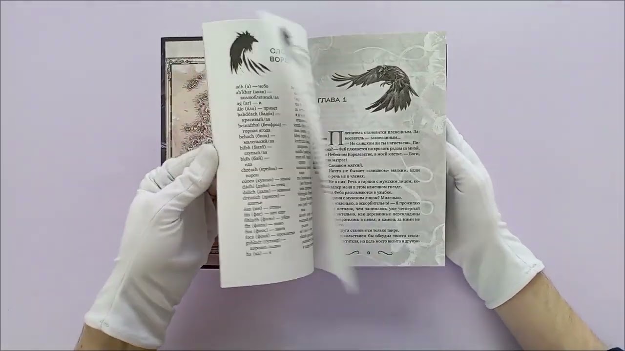 Книга Дом бьющихся сердец (#2) (Оливия Вильденштейн) — 3