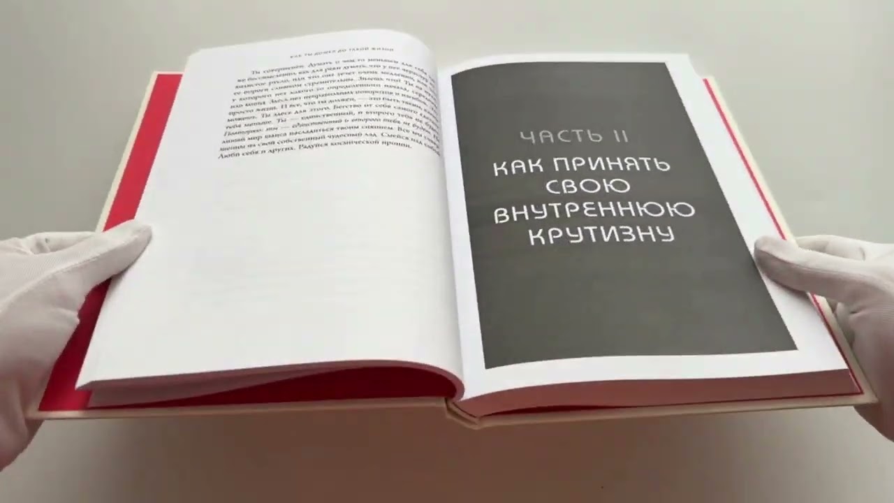 Книга НИ СЫ. Будь уверен в своих силах и не позволяй сомнениям мешать тебе двигаться вперед (Джен Синсеро) — 3
