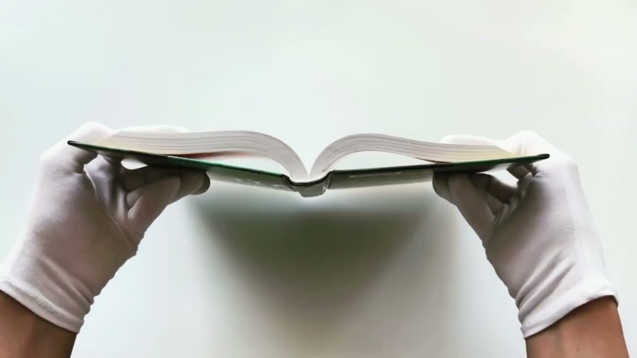 Книга Нулевой день (Рут Уэйр) — 3