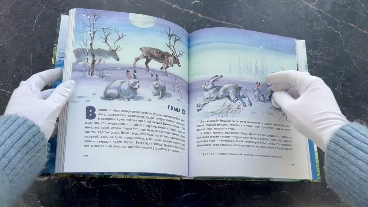 Книга Бродяги Севера (ил. В. Канивца) (Джеймс Оливер Кервуд) — 3