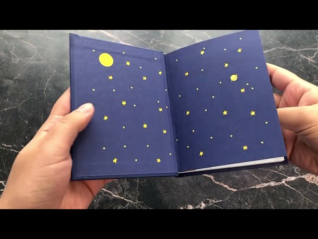 Книга Маленький принц (Антуан де Сент-Экзюпери) — 3