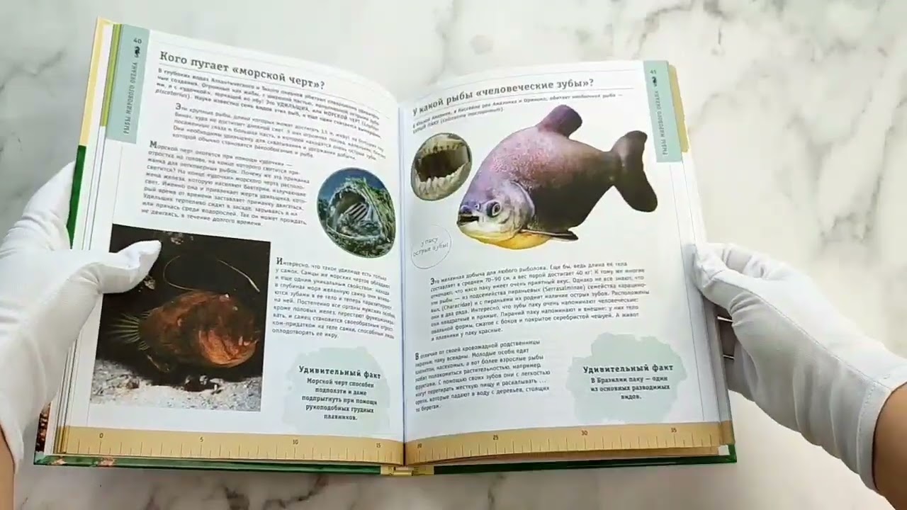 Книга Редкие и удивительные животные нашей планеты. Энциклопедия для детей (Василий Климов) — 3